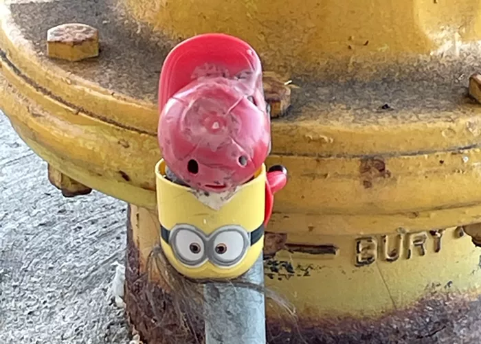 Slog AM: The National Guard Heads to Portland, a Shooting at a Mormon Temple, and a Cement Company That Just Loves Burning Tires 